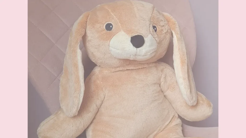 Knuffeltje mee tijdens een NEI therapie sessie voor je kind in Bergen NH en Alkmaar